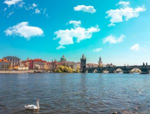 Realitní kanceláře v Praze a jak mezi nimi vybrat tu nejlepší